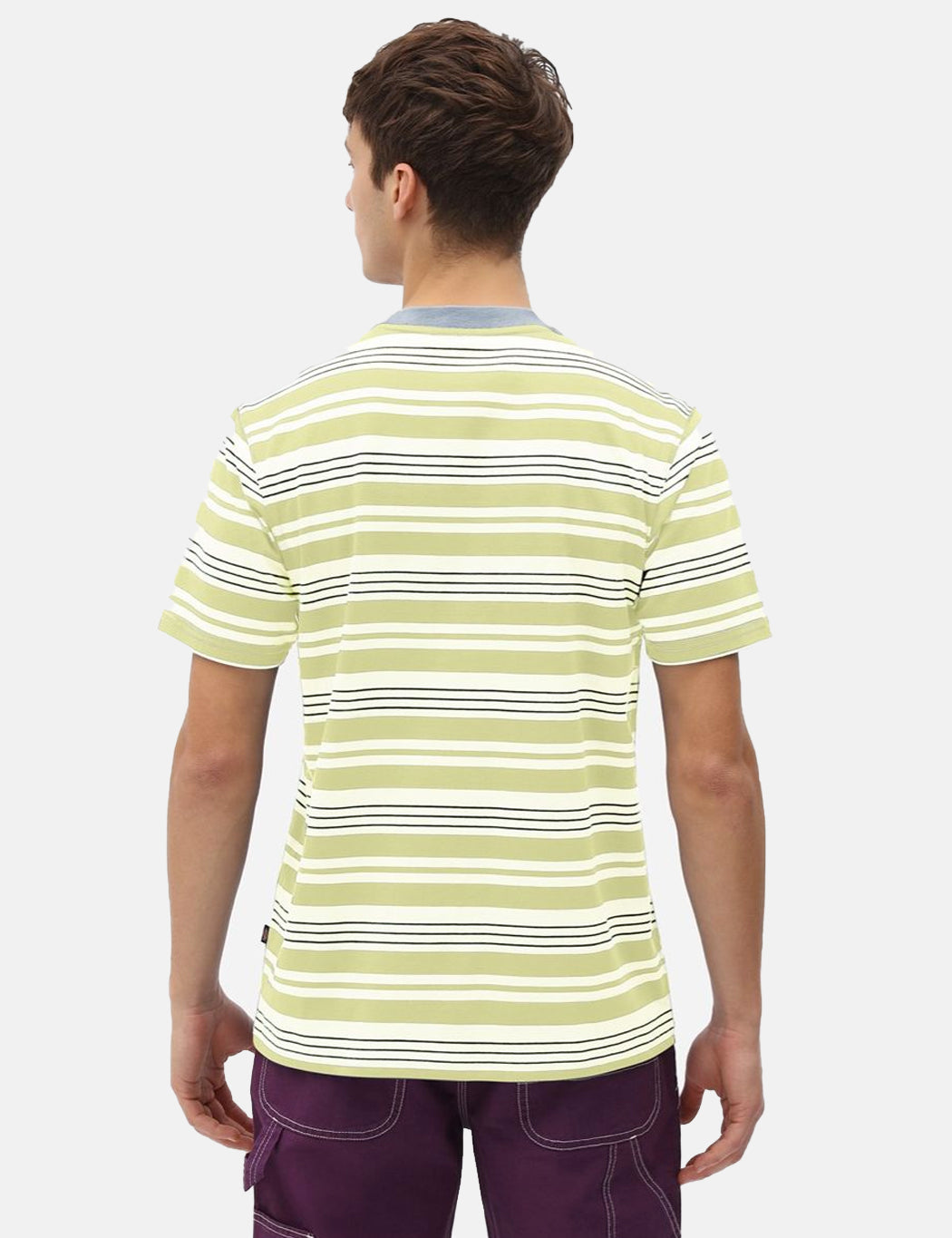 Wheaton T-Shirt (Striped) - Mellow Green