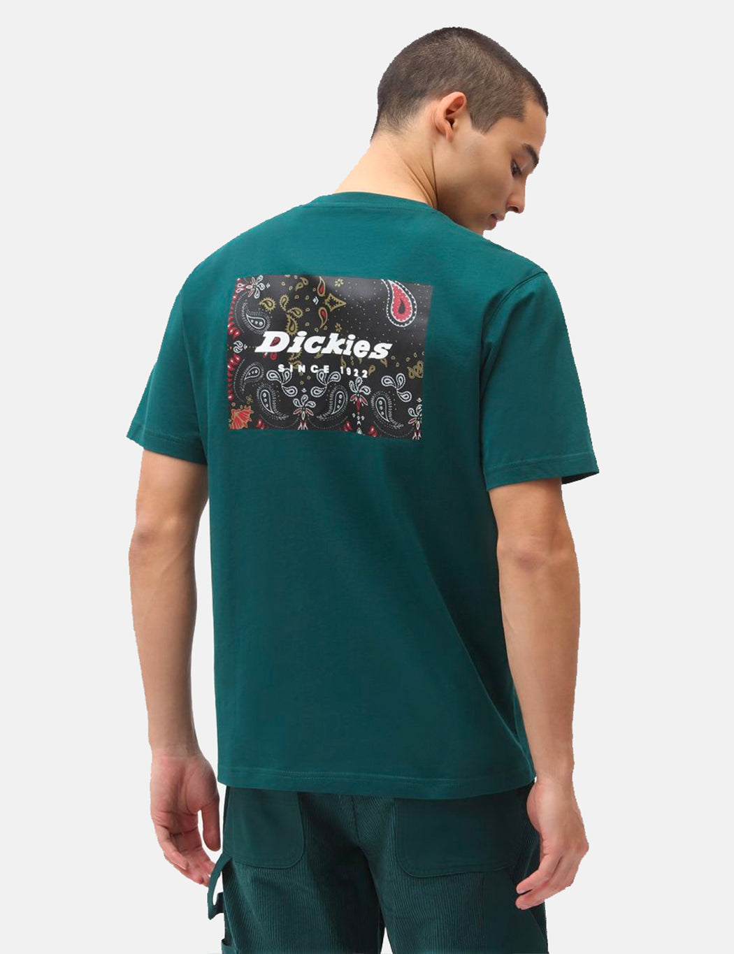 Reworked T-Shirt - Ponderosa Pine Green