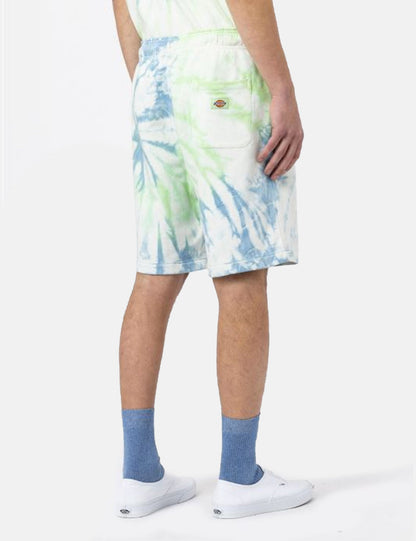 Seatac Shorts - Celadon Green